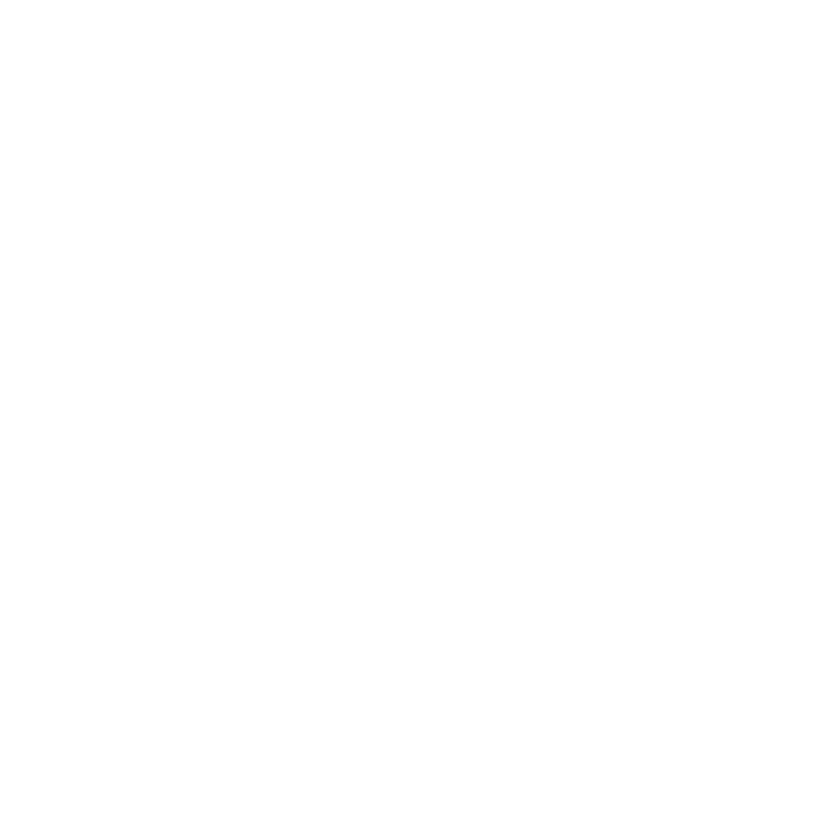 Twin Cities Film Festival