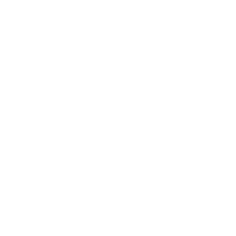 Charlotte Film Festival